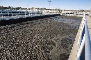 【干貨】泥齡導致的氨氮超標？那這種情況該如何處理呢？